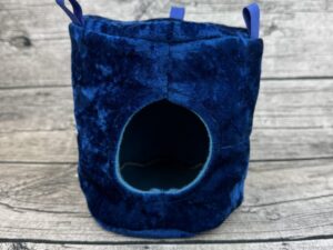 Crown Princess Vicky